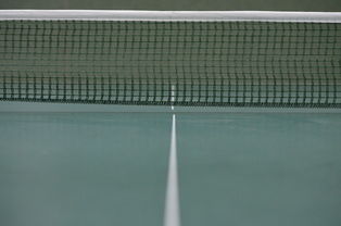 开云APP-波兰乒乓球队险胜比利时乒乓球队，许昕送出助攻